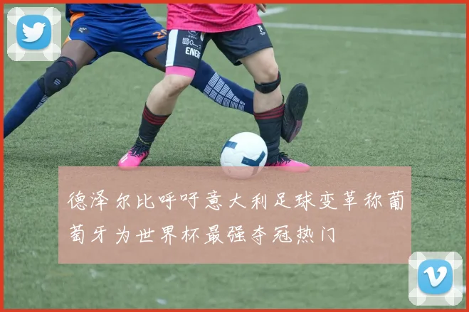 德泽尔比呼吁意大利足球变革称葡萄牙为世界杯最强夺冠热门